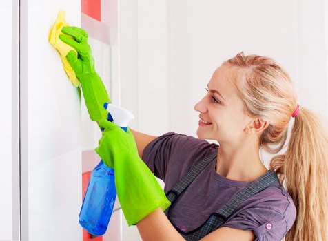Deep cleaning an oven interior and racks in Croydon