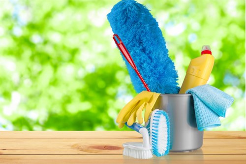 Professional oven cleaning service for a home kitchen in CR0
