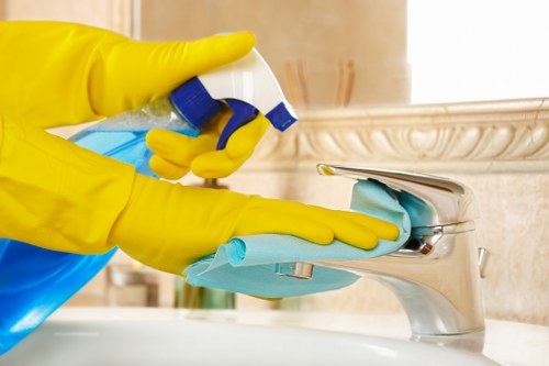 Deep cleaning and regular home maintenance service in CR0