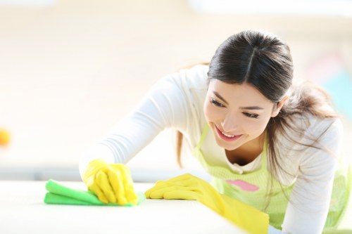 Domestic oven cleaning for a flat or house in CR0