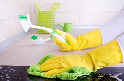 Deep carpet cleaning process for a flat in Croydon CR0