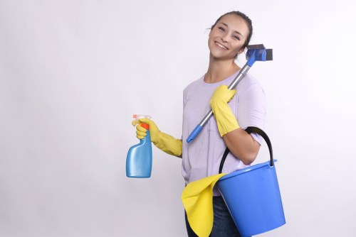Commercial oven cleaning for a business in CR0