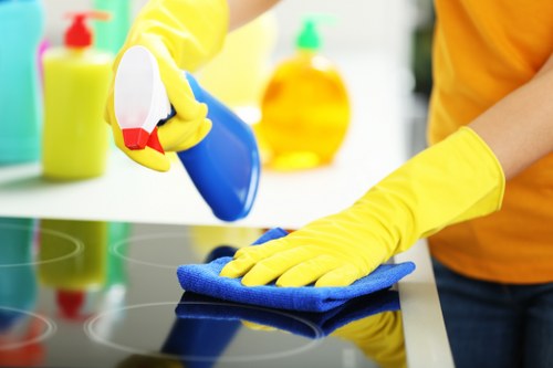 Local cleaners handling a deep clean for a CR0 property