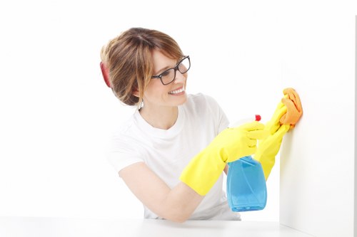 Local window cleaning equipment used for homes and flats in CR0