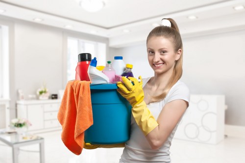 Deep cleaning service for a CR0 property showing bathroom and tiled surface cleaning