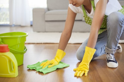 Local cleaners covering apartments, houses, and offices in CR0